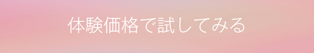 体験価格で試してみる